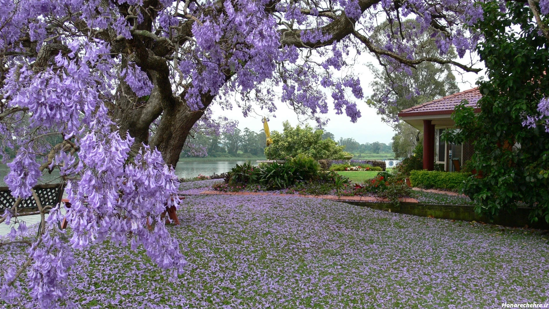 گالری عکس طبیعت