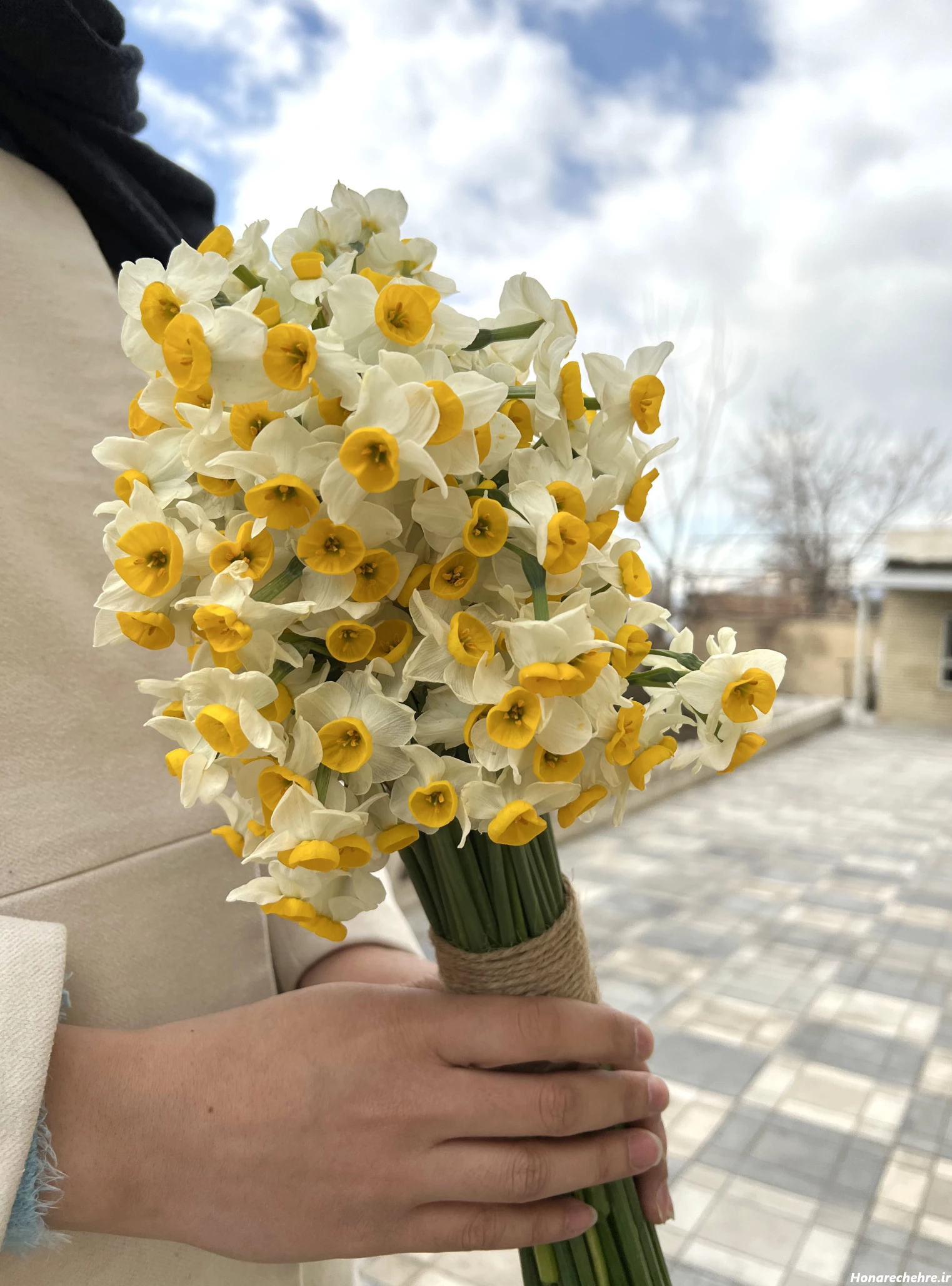 عکس باران برای پروفایل