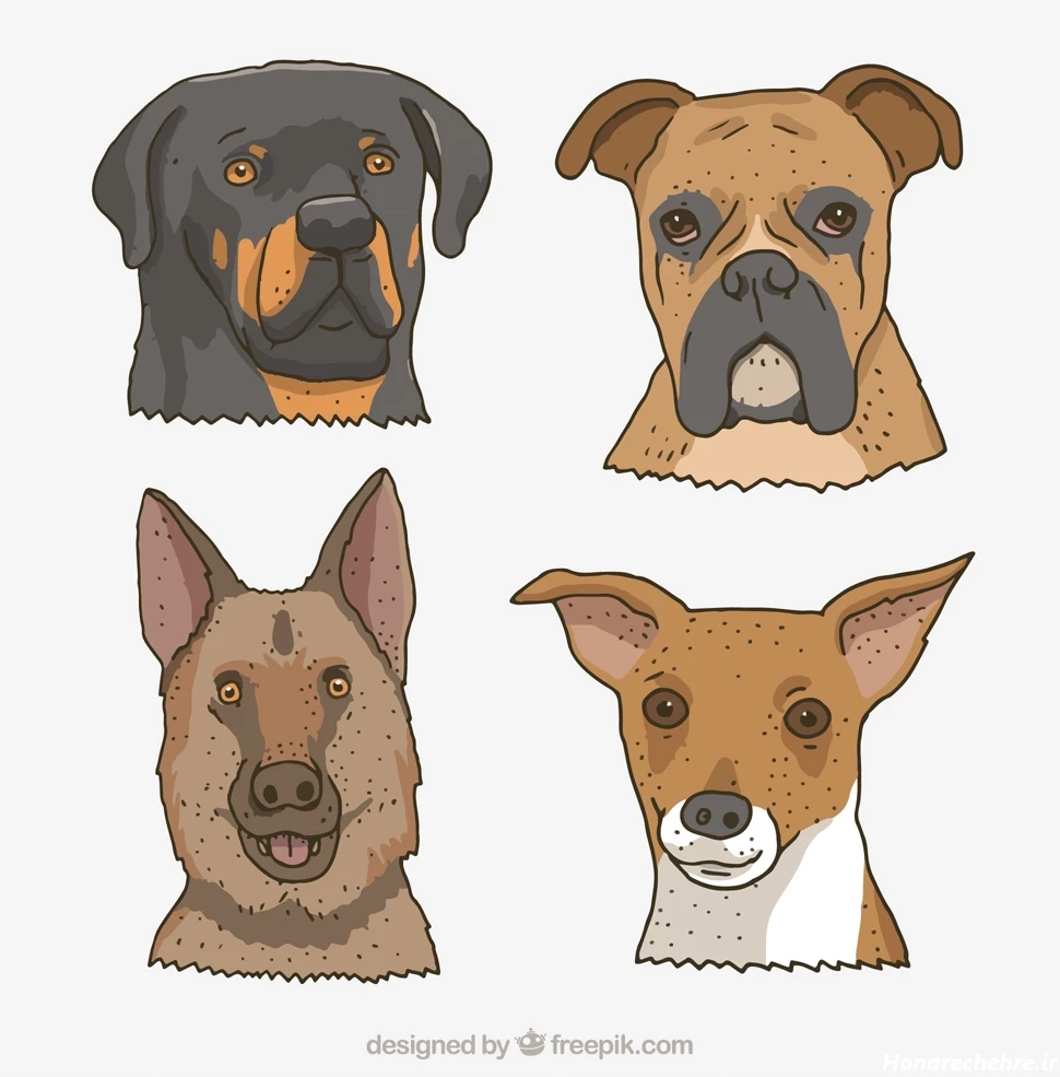 نقاشی سگ وحشی سخت