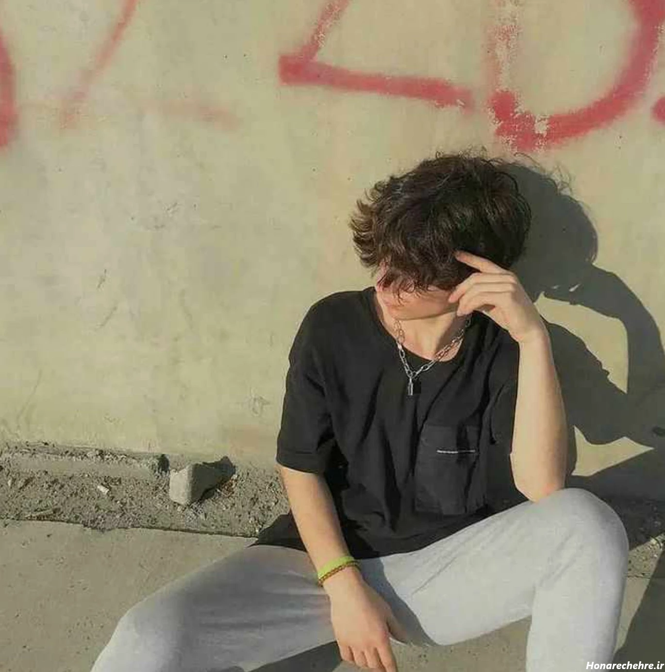 چهره مردانه زیبا ایرانی