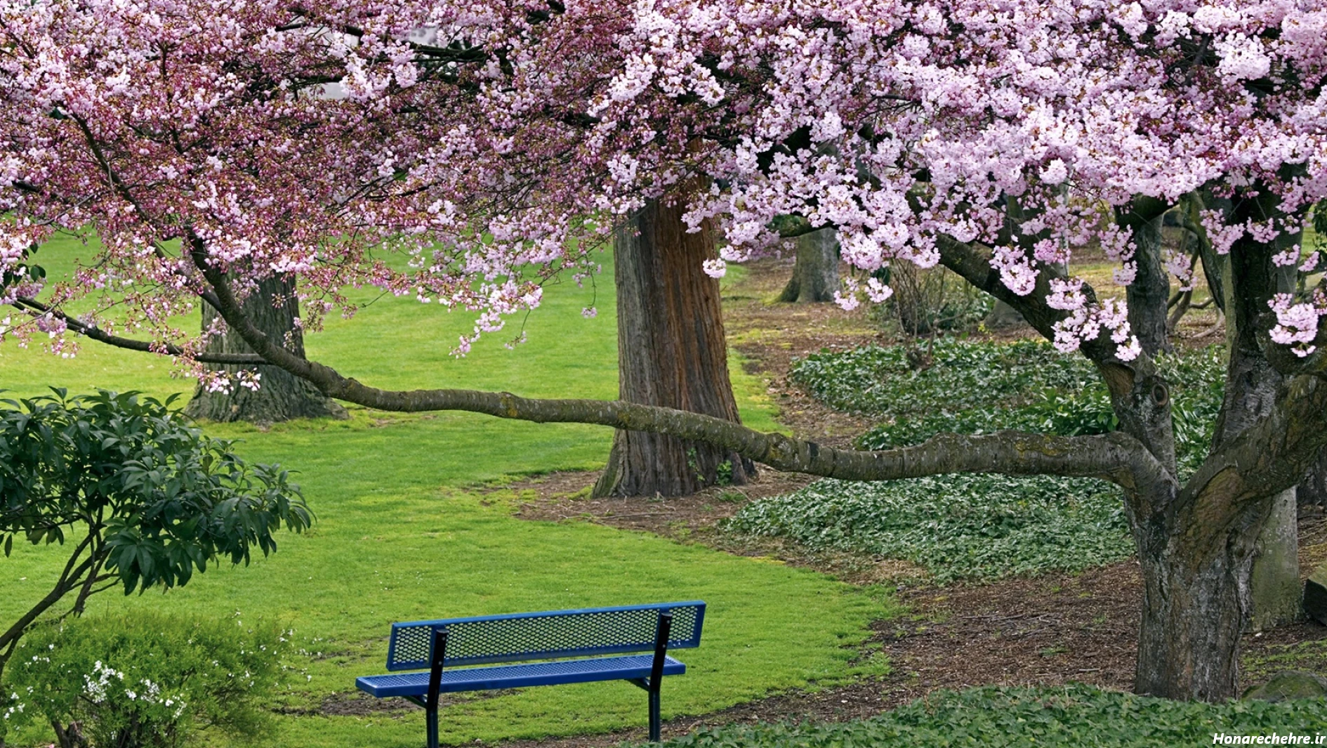 گالری عکس طبیعت