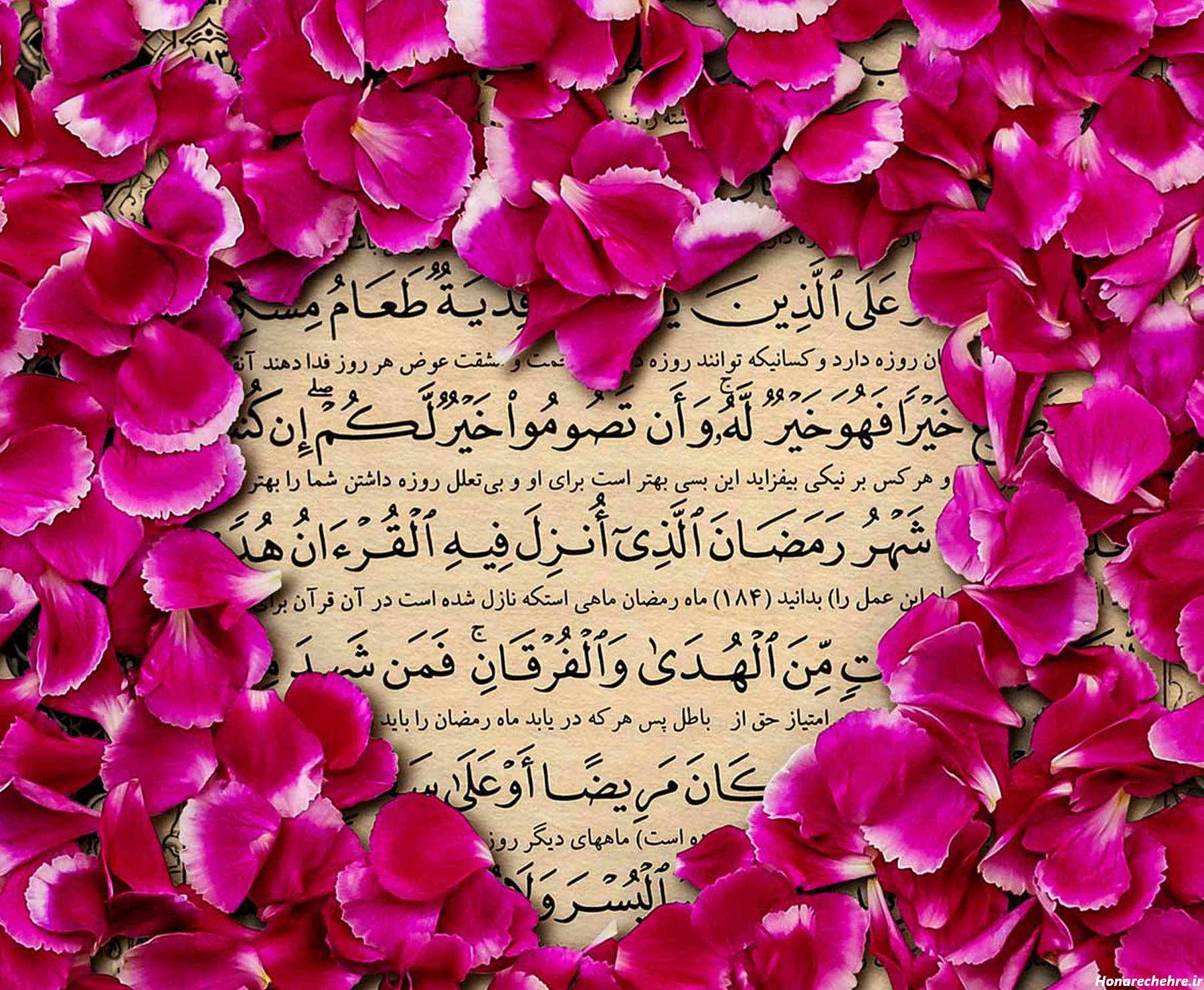 عکس گل برای پروفایل واتساپ نوشته دار