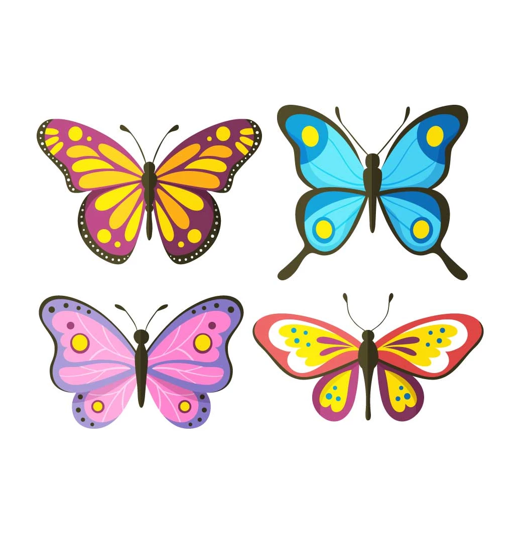 عکس پروانه برای چاپ