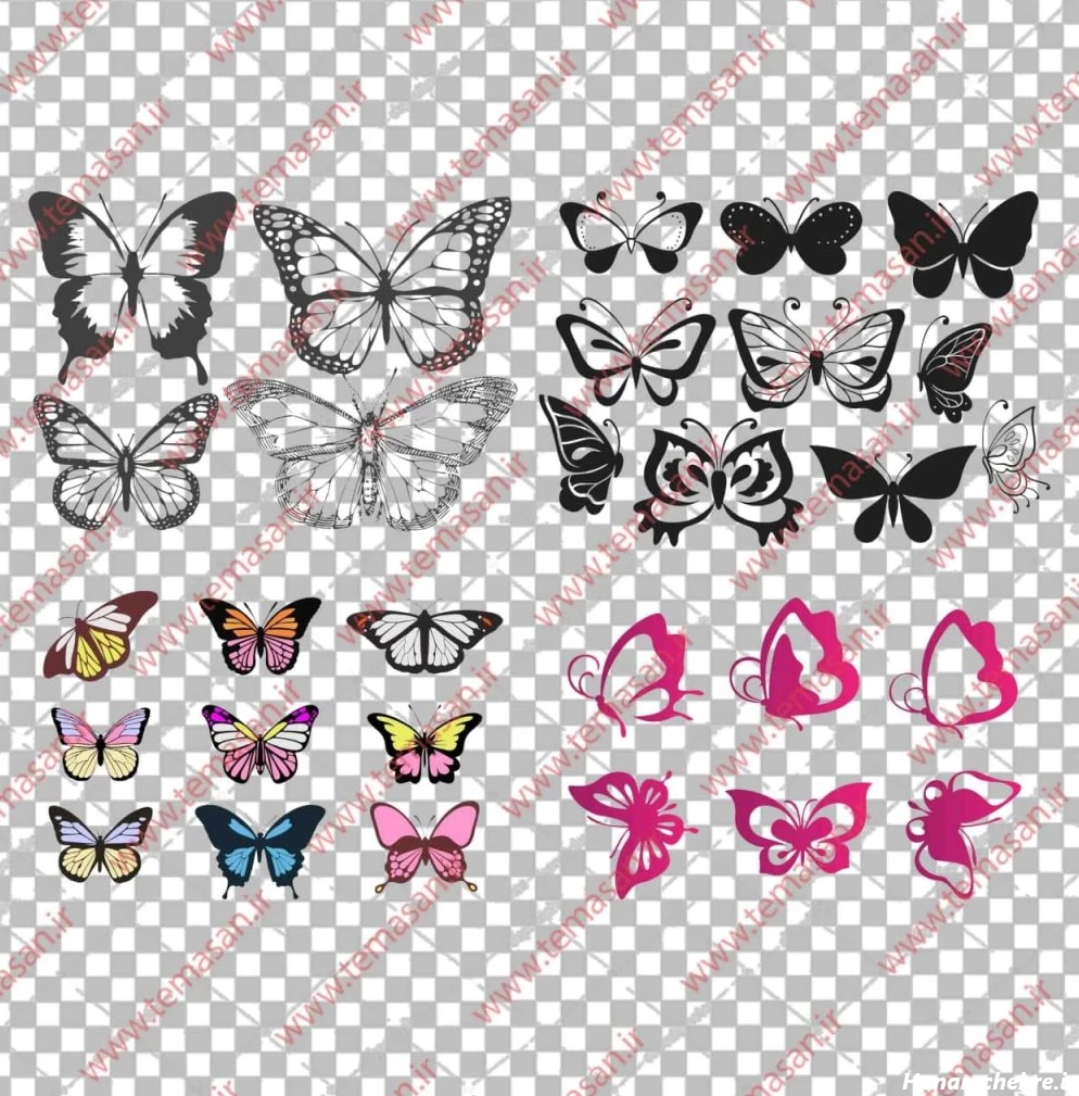 عکس پروانه برای چاپ