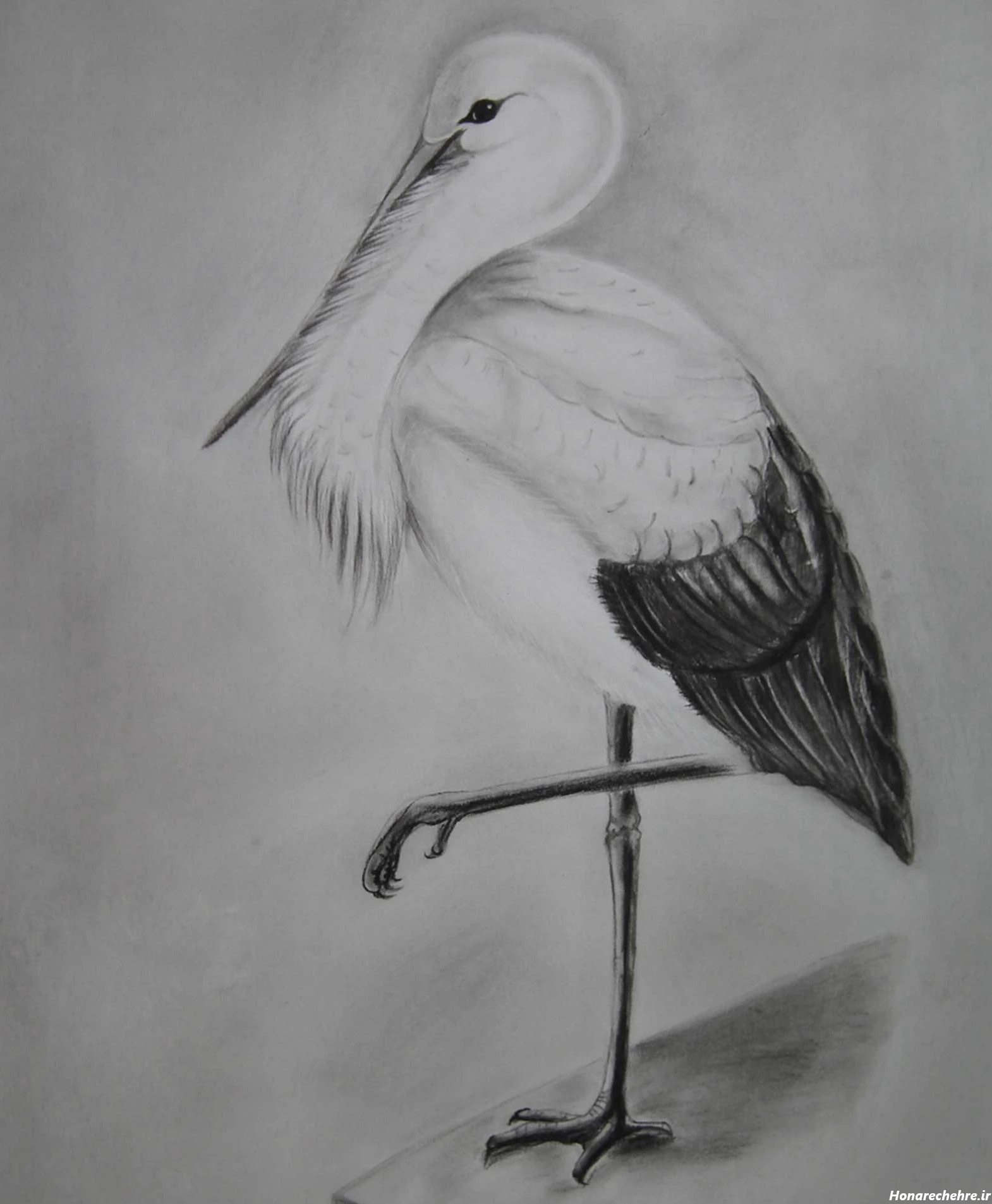 نقاشی سیاه قلم دخترانه