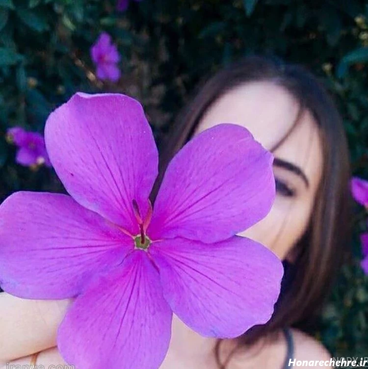 عکس بنفش لاکچری