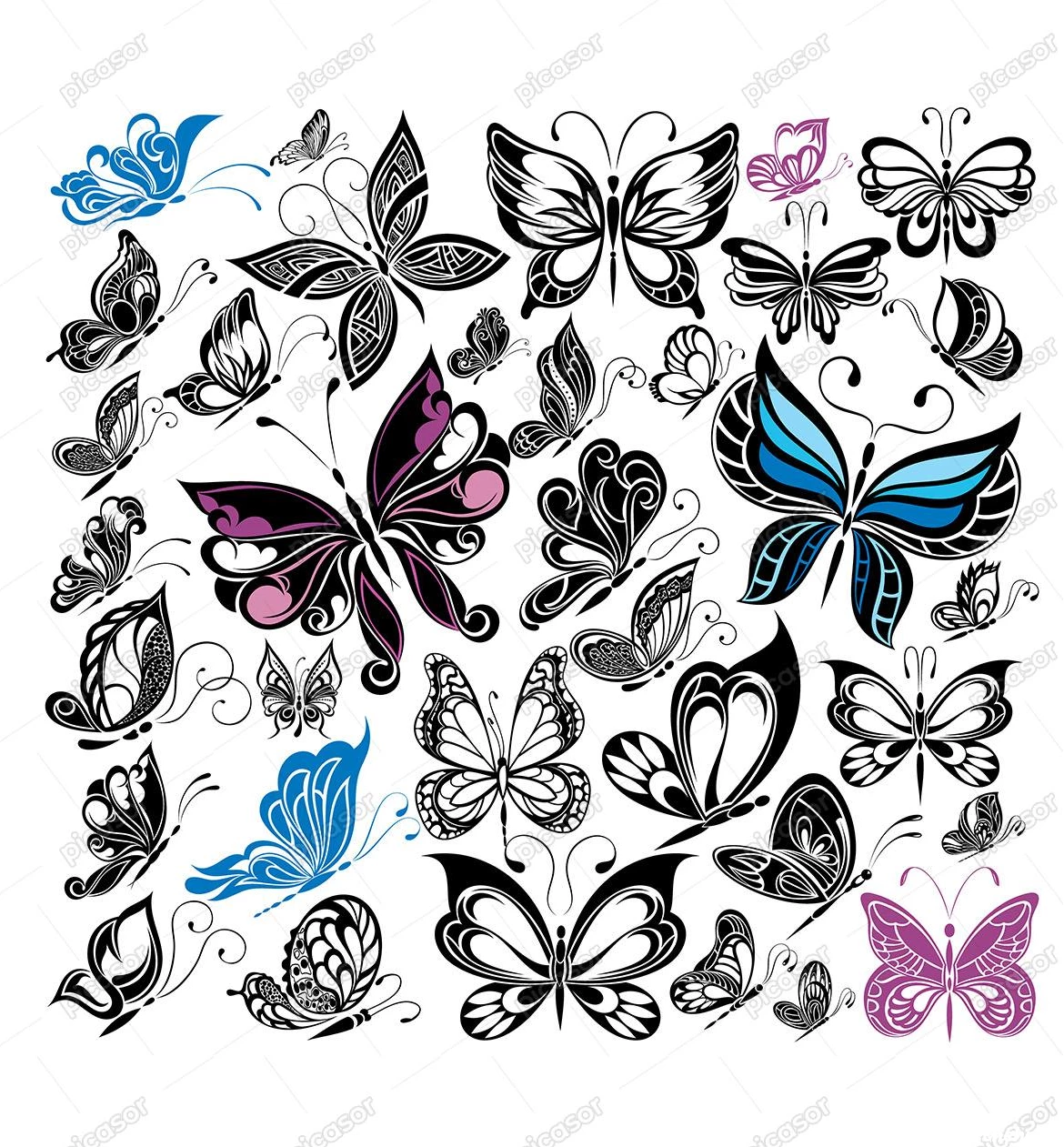 عکس پروانه برای چاپ