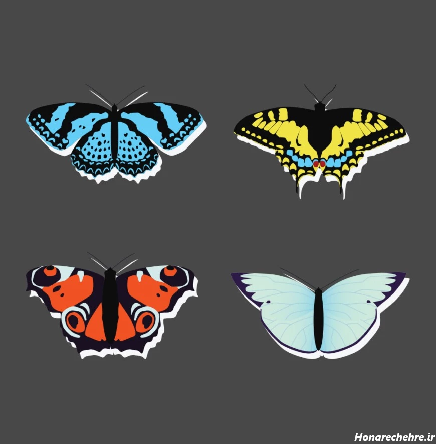 عکس پروانه برای چاپ