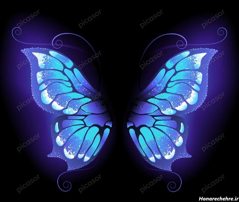 عکس پروانه برای چاپ