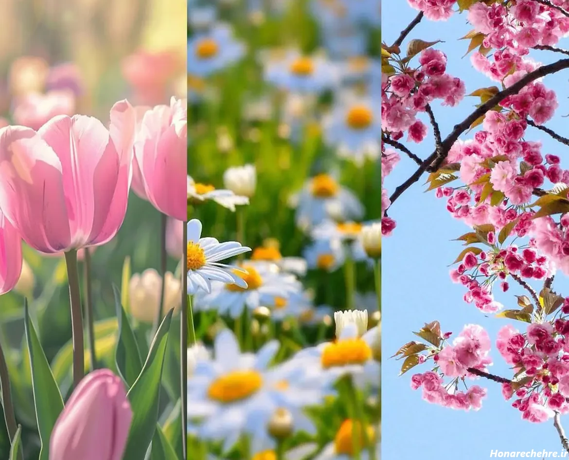 عکس طبیعت واقعی برای پروفایل