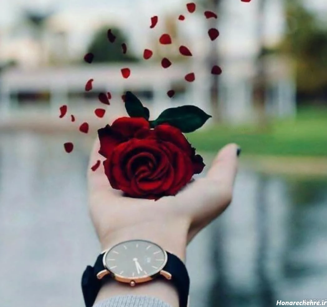 عکس گل برای پروفایل واتساپ نوشته دار