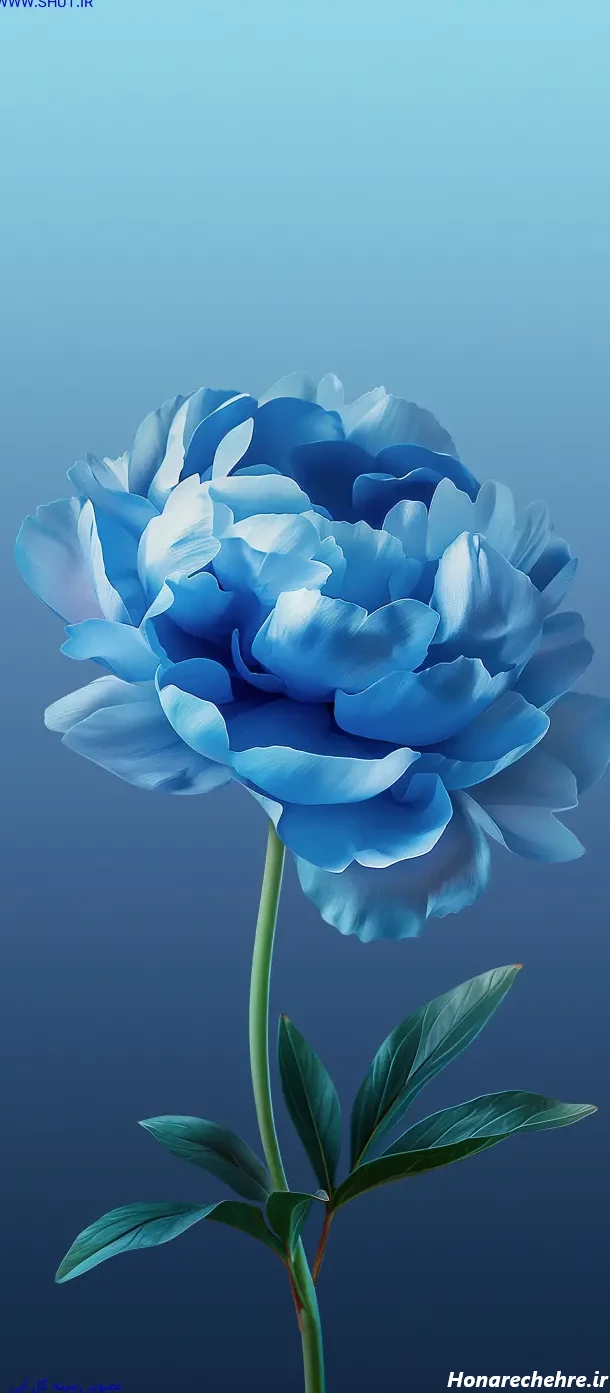 عکس رنگ ابی