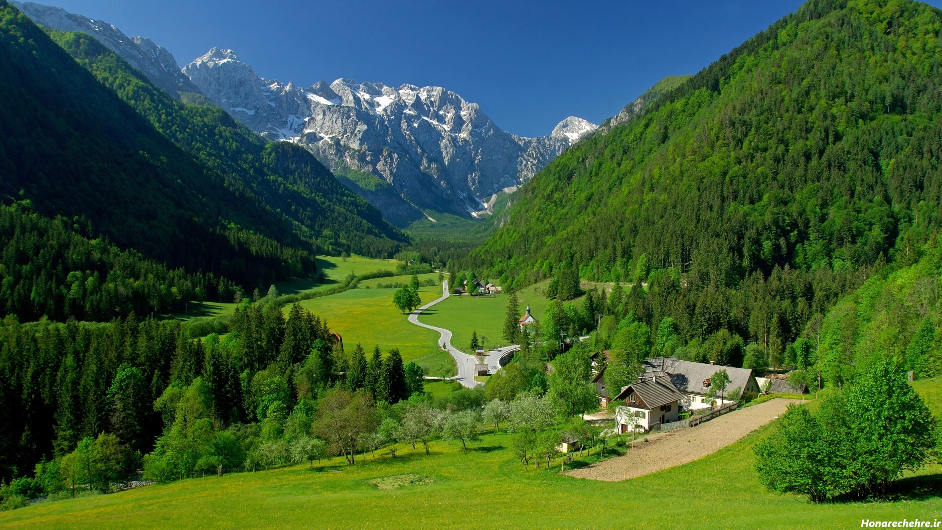 گالری عکس طبیعت