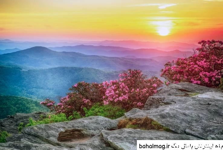 عکس طلوع خورشید عاشقانه