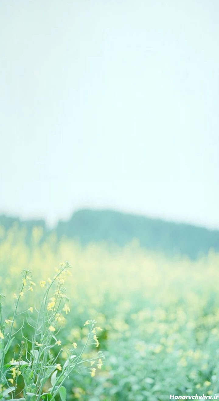 بک گراند مشکی