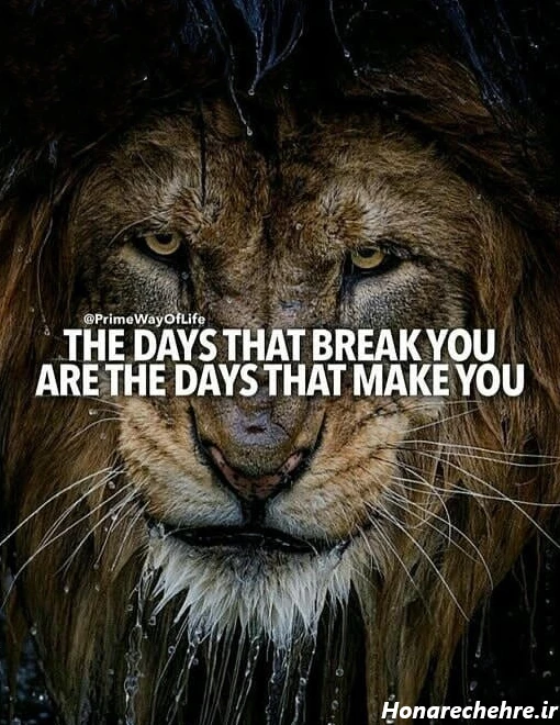 استوری باحال و جذاب